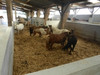  Las instalaciones 